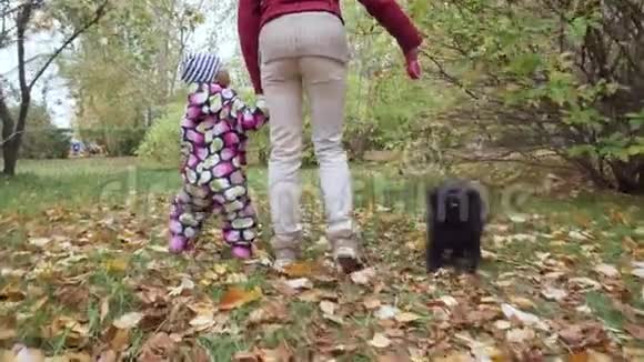 小女孩在秋天的公园里散步和玩斯皮茨狗视频的预览图