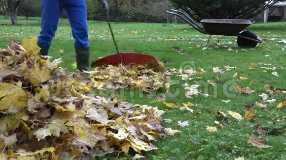 园丁人在秋天耙落叶和空车在院子里工作4K视频的预览图