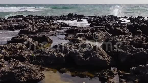 保加利亚黑海海岸沿岸的Litoral浴场视频的预览图