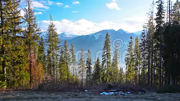 冬季景观波兰塔特拉山脉视频的预览图