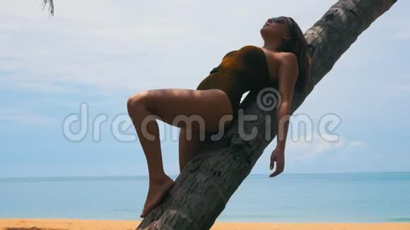 一个年轻的女人靠在海滩上的热带树上视频的预览图