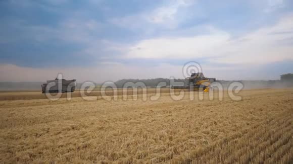 在田间收割成熟小麦作物的谷物收割机联合骑行穿越乡村视频的预览图