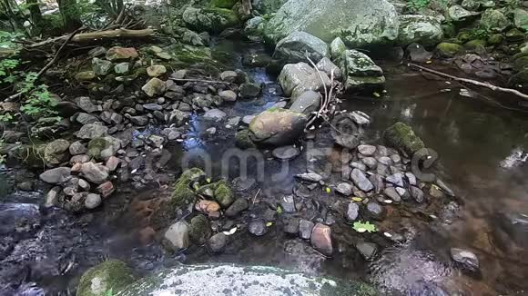 维吉尼亚州的黑泽尔河浅水和上面的岩石视频的预览图