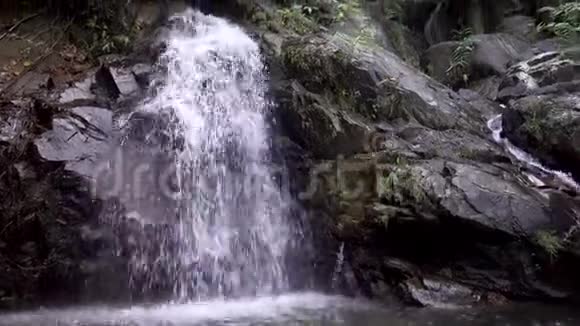 美丽的热带瀑布丛林野生视频的预览图