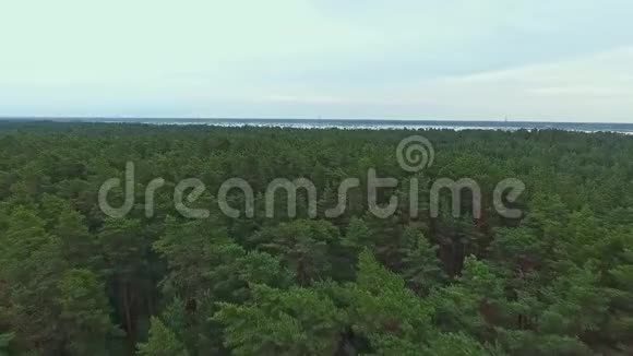 飞越森林拉脱维亚欧盟视频的预览图