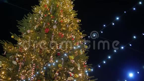 圣诞树上的糖果视频的预览图