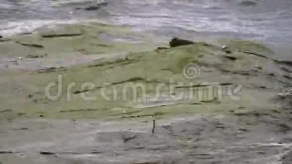 海岸波浪在海上污水和垃圾在海岸外生态问题视频的预览图