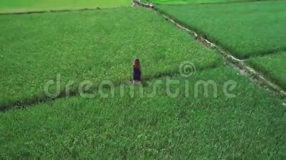 4飞机上的无人机镜头一个穿着蓝色裙子的金发女孩站在菲律宾厄尔尼诺的稻田里视频的预览图