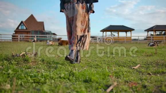 带着奶牛在围场散步的庄稼女人视频的预览图