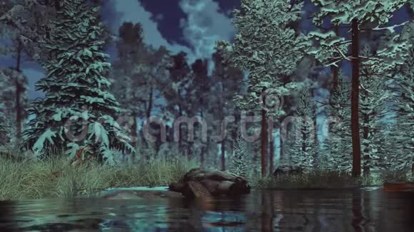 没有冰冻的溪流雪冬森林黄昏4K视频的预览图