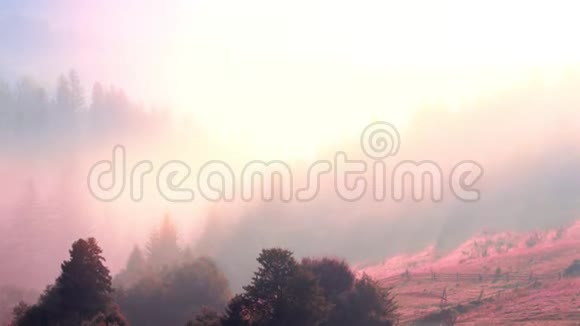 雾山景观自然雾云视频的预览图