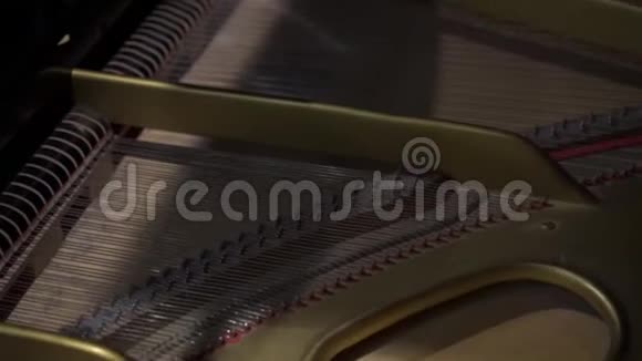 从内观大钢琴视频的预览图