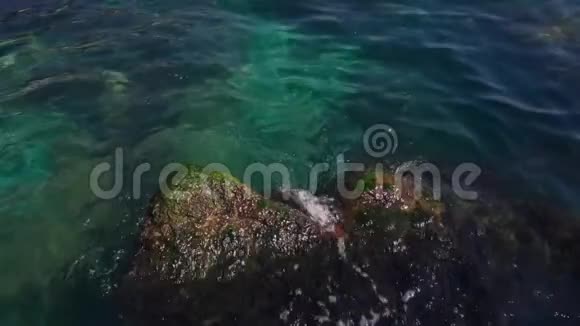 海洋中的石头和水草视频的预览图