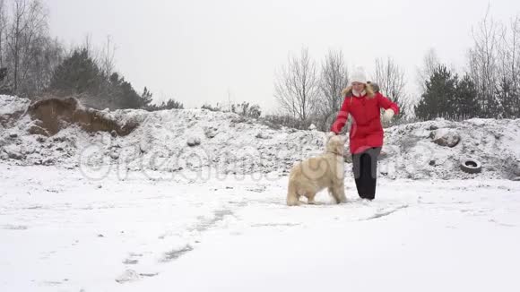 美丽的慢动作视频女人在冬天和她的狗在冰场上玩视频的预览图