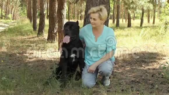 美丽的女人在针叶林夏季与她心爱的狗犬科索黑色视频的预览图