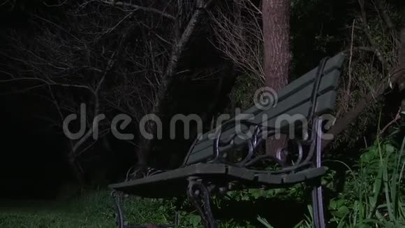 在一棵可怕的树旁边的长凳视频的预览图