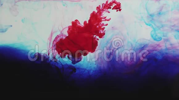 把红色墨水滴在白色背景上红色和蓝色颜料混合在水中缓慢运动抽象墨水背景视频的预览图