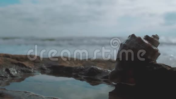 拉潘在海边的一块石头上映衬着海浪和蓝天4k4k录像慢动作2398fps视频的预览图