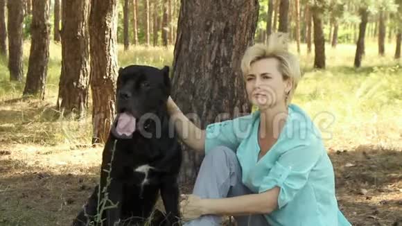在一个夏日的阳光明媚的日子里针叶林中的一个美丽的女人正和她心爱的狗卡尼科索布莱克在树下休息视频的预览图
