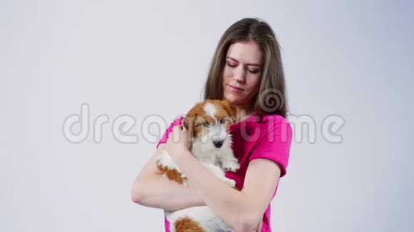 快乐的漂亮女孩穿着粉红色T恤抱着一只小狗杰克罗素梗看着镜头灰色背景靠近视频的预览图