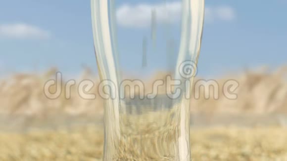 特写玻璃中装满了大麦麦芽和小麦这是一种有机和天然产品的概念用于制造工艺啤酒视频的预览图