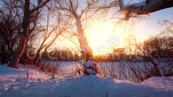 冬季景观日落雪中的树视频的预览图