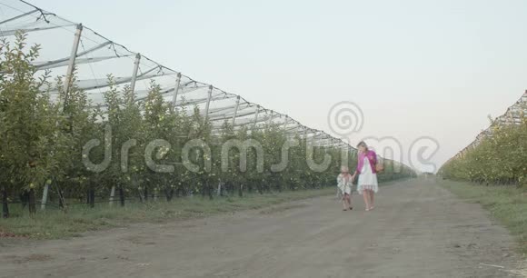 母女俩正拿着一个篮子走在一个苹果园里视频的预览图