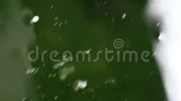 离焦的锦鲤鱼在颗粒漂浮的绿水中游动视频的预览图