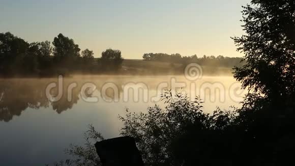 清晨在河边平静和沉默雾在水面上蔓延树木和蓝天的黑色轮廓视频的预览图