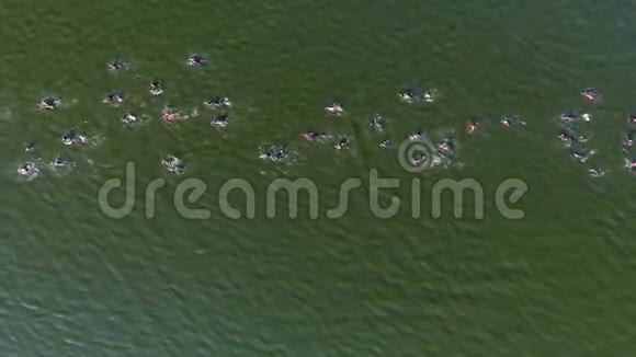空中自上而下的水上竞赛许多游泳者穿越深绿色的河流视频的预览图