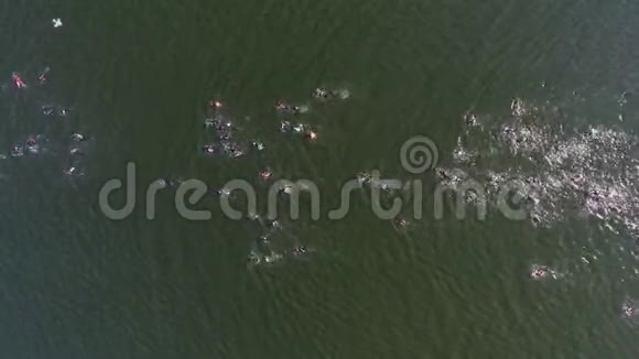 无人驾驶飞机在水上竞赛中飞过穿越河流的游泳者视频的预览图