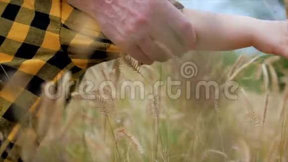 女人的手和孩子的手在麦田里花在黄色的大麦上奶奶握着她的手视频的预览图