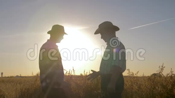 夕阳背景下的农场主与戴帽子的工人握手视频的预览图