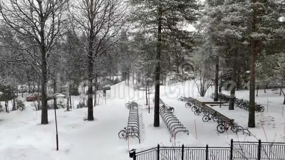 大学校园4K视频中的大雪周围有分枝的树木视频的预览图