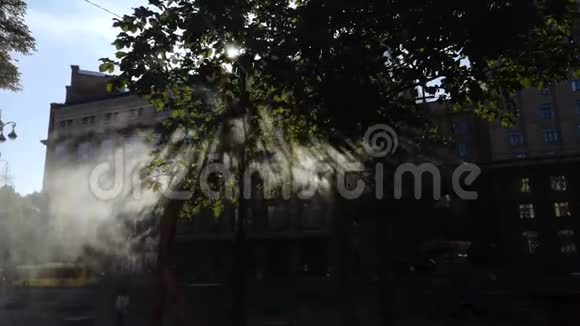 小水滴创造了一种人工雾在炎热的日子里冷却透过雾的光产生了天堂的效果视频的预览图