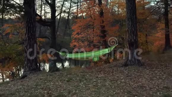城市公园有河流和五颜六色的秋树视频的预览图
