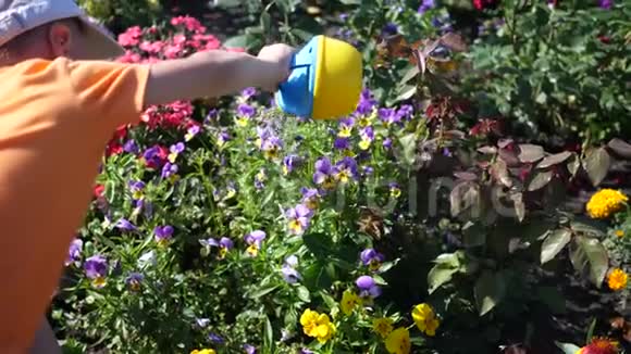 一个带小浇水罐浇花园的孩子年轻的园丁视频的预览图