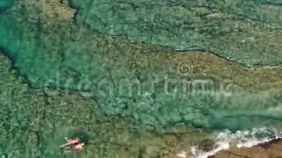 人们在清澈的海水中游泳狗在沙滩上空中旋转视频的预览图