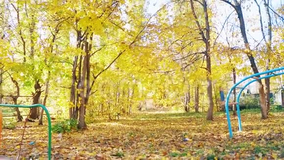 秋天的院子里有黄树视频的预览图