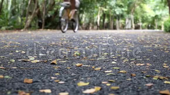 一位年轻女子骑着自行车在美丽的秋天公园路上视频的预览图