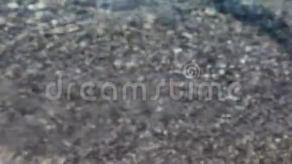 夏天海浪在海滩上的石头上汹涌澎湃视频的预览图
