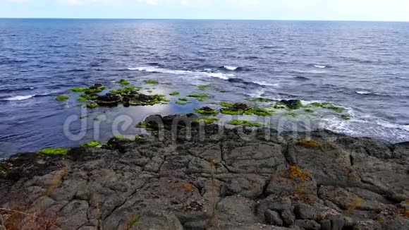 海岸梯田海岸带岩石上的绿藻波浪和白色泡沫黑海保加利亚视频的预览图