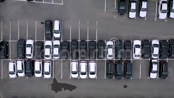 海关码头停车场的鸟瞰图上有一排新的黑白汽车视频的预览图