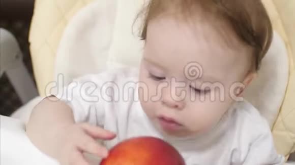小宝宝抱着红苹果咬他孩子在孩子椅子上吃早餐漂亮的小家伙在吃视频的预览图