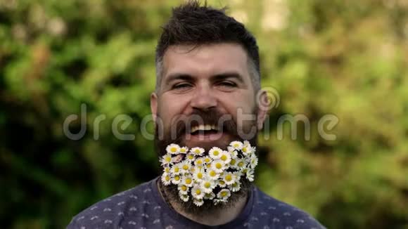 笑脸上留胡子的男人享受着没有过敏的生活有胡子的男人胡子上有雏菊花草的背景视频的预览图