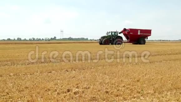 在收获过程中带红色拖车的绿色拖拉机在田野上行驶在成熟麦田的前兆里最后的结局视频的预览图