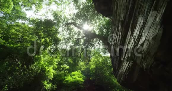 美丽的阳光照亮了布满岩石的森林视频的预览图