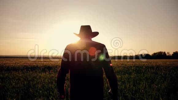 一个农民走过一个绿色的麦田用平板电脑研究作物生长在麦田上日落农学家视频的预览图