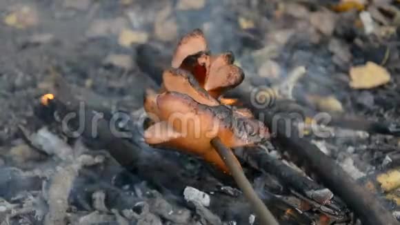 在篝火上烤香肠视频的预览图