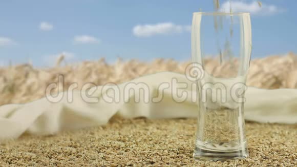 一个啤酒杯的特写镜头放在一堆麦芽和麦芽上正涌入这个杯子里装满了一片蓝色的田野视频的预览图